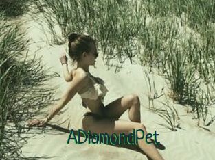 A_DiamondPet