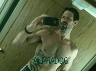 ALPHADOG