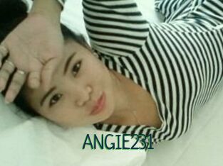 ANGIE231