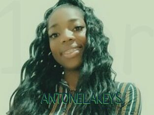 ANTONELAKEYS