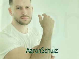 AaronSchulz