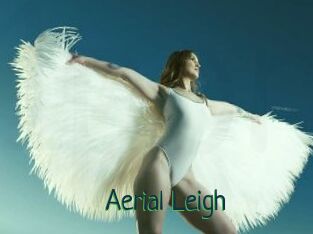 Aerial_Leigh