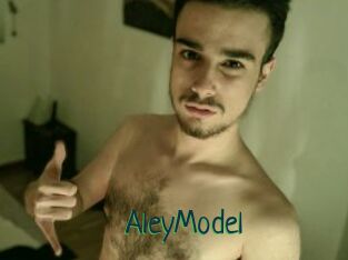 AleyModel