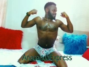 AnacondaExpress