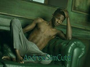 AndrewSlimCute