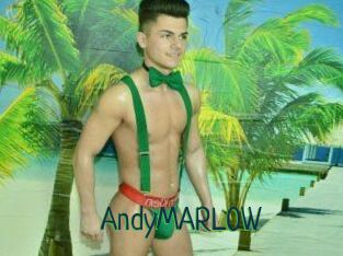 AndyMARL0W