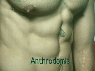 Anthrodomis