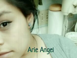 Arie_Angel