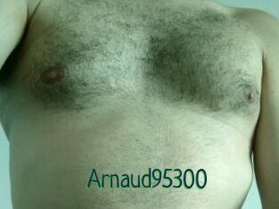 Arnaud95300