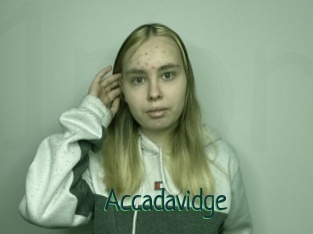 Accadavidge