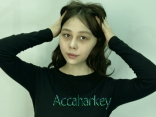 Accaharkey