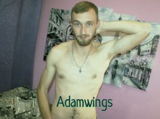 Adamwings