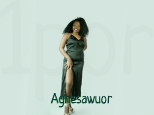 Agnesawuor