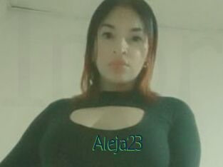 Aleja23