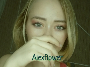 Alexflower