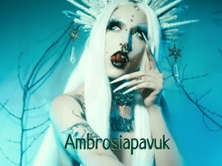 Ambrosiapavuk