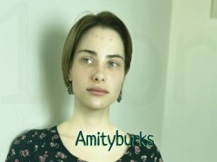 Amityburks