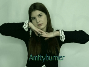 Amityburner