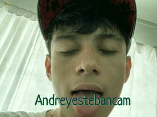 Andreyestebancam