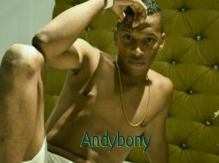 Andybony