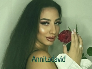 Annitadavid