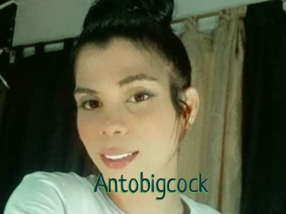 Antobigcock