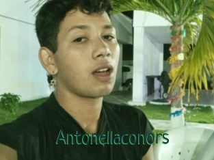 Antonellaconors