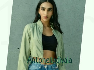 Antonelladivala