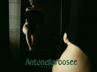 Antonellaroosee