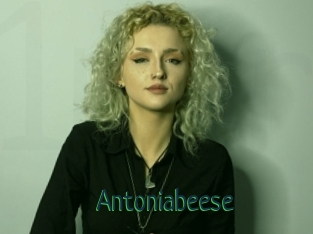 Antoniabeese