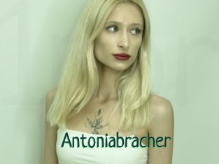 Antoniabracher