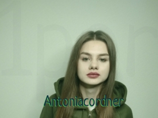 Antoniacordner