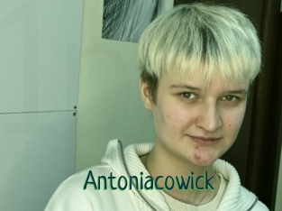 Antoniacowick