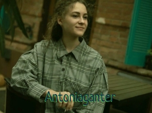 Antoniaganter