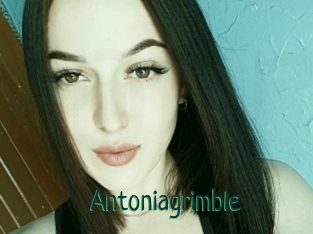 Antoniagrimble