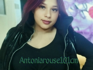 Antoniarouse101cm