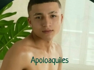 Apoloaquiles