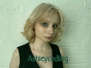 Ashleycodling