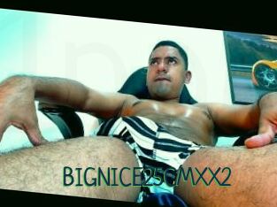 BIGNICE25CMXX2