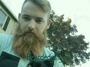 Beardedginger