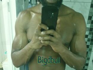 Bigdbull