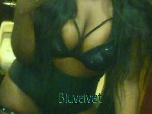 Bluvelvet