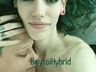 BoytoiHybrid