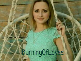 BurningOfLovee