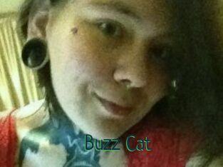 Buzz_Cat