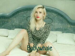 Babywhale