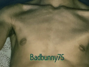 Badbunny75