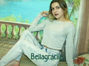 Bellagracile