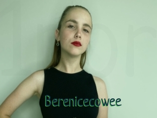 Berenicecowee