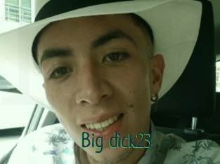 Big_dick23